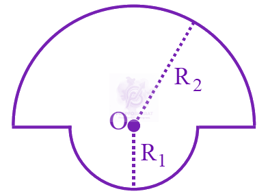 JEE Main 2024 Physics, Magnetic Effects of Current — question figure
