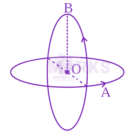 JEE Main 2024 Physics, Magnetic Effects of Current — question figure