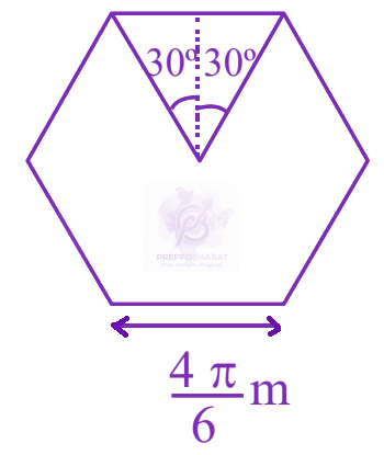 JEE Main 2024 Physics, Magnetic Effects of Current — solution figure