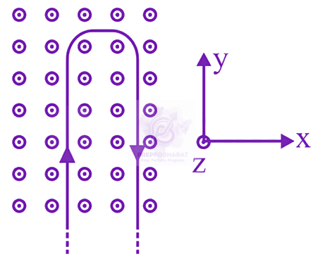 JEE Main 2024 Physics, Magnetic Effects of Current — question figure