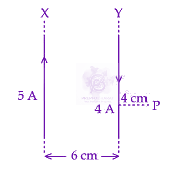 JEE Main 2025 Physics, Magnetic Effects of Current — question figure