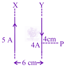 JEE Main 2025 Physics, Magnetic Effects of Current — solution figure