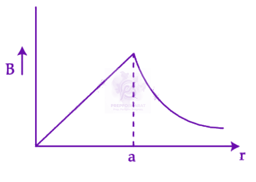 JEE Main 2025 Physics, Magnetic Effects of Current — option D figure