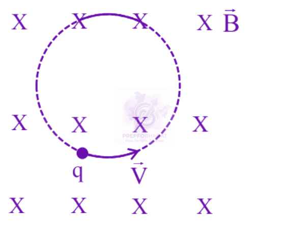 JEE Main 2025 Physics, Magnetic Effects of Current — solution figure