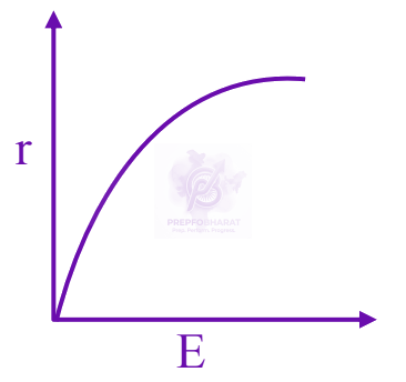 JEE Main 2025 Physics, Magnetic Effects of Current — option D figure
