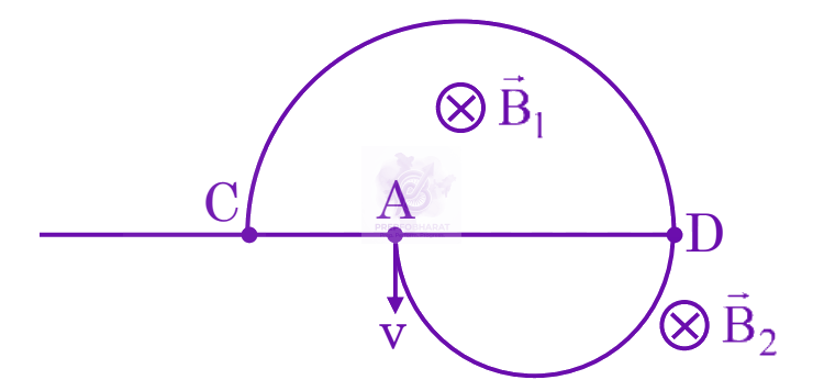 JEE Main 2025 Physics, Magnetic Effects of Current — solution figure