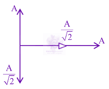 JEE Main 2024 Physics, Mathematics in Physics — solution figure