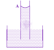 JEE Main 2008 Physics, Mechanical Properties of Fluids — option D figure