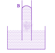 JEE Main 2008 Physics, Mechanical Properties of Fluids — question figure