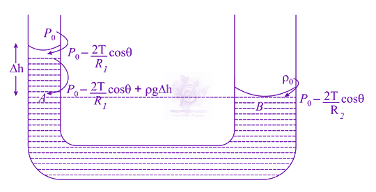 JEE Main 2021 Physics, Mechanical Properties of Fluids — solution figure
