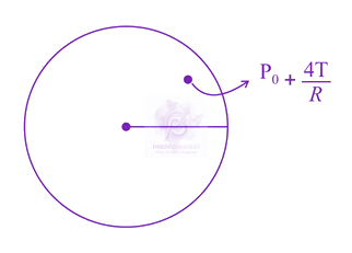 JEE Main 2021 Physics, Mechanical Properties of Fluids — solution figure