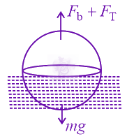 JEE Main 2022 Physics, Mechanical Properties of Fluids — solution figure
