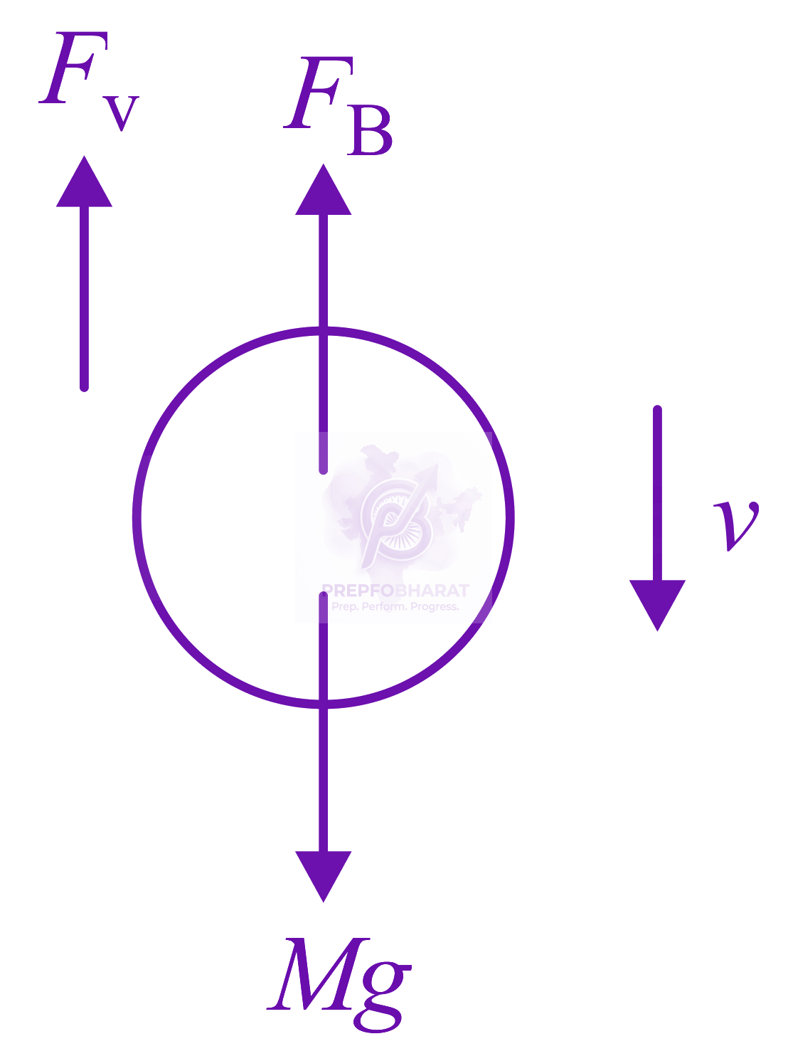 JEE Main 2022 Physics, Mechanical Properties of Fluids — solution figure