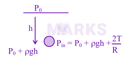 JEE Main 2025 Physics, Mechanical Properties of Fluids — solution figure