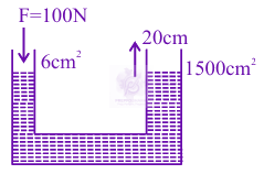 JEE Main 2025 Physics, Mechanical Properties of Fluids — solution figure
