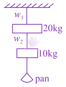 JEE Main 2021 Physics, Mechanical Properties of Solids — question figure
