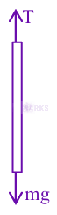 JEE Main 2024 Physics, Mechanical Properties of Solids — solution figure