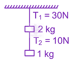 JEE Main 2024 Physics, Mechanical Properties of Solids — solution figure