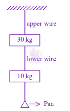 JEE Main 2026 Physics, Mechanical Properties of Solids — question figure