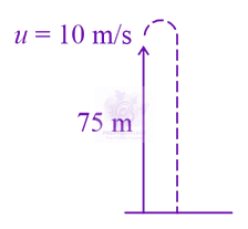 JEE Main 2021 Physics, Motion In One Dimension — solution figure