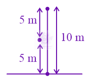 JEE Main 2022 Physics, Motion In One Dimension — solution figure