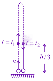 JEE Main 2022 Physics, Motion In One Dimension — solution figure