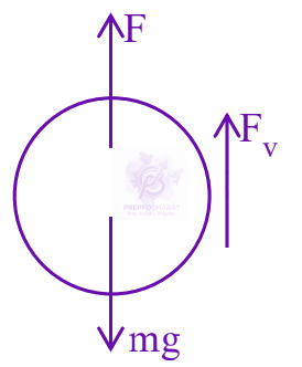 JEE Main 2024 Physics, Motion In One Dimension — solution figure