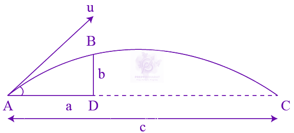 JEE Main 2007 Physics, Motion In Two Dimensions — solution figure