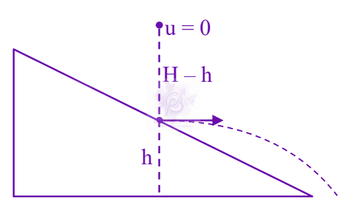 JEE Main 2024 Physics, Motion In Two Dimensions — solution figure