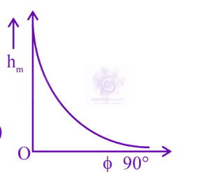 JEE Main 2025 Physics, Motion In Two Dimensions — option D figure