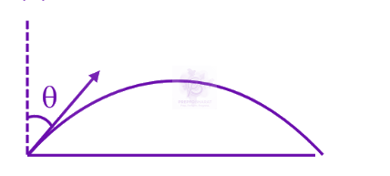 JEE Main 2025 Physics, Motion In Two Dimensions — solution figure