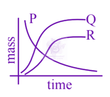 JEE Main 2025 Physics, Nuclear Physics — option C figure