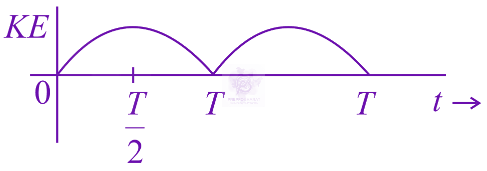 JEE Main 2017 Physics, Oscillations — option B figure