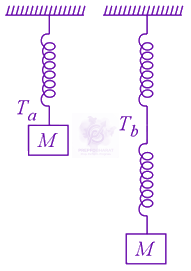 JEE Main 2021 Physics, Oscillations — question figure