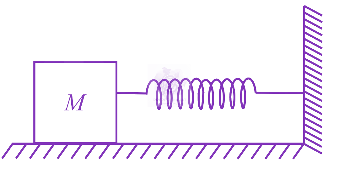 JEE Main 2021 Physics, Oscillations — solution figure