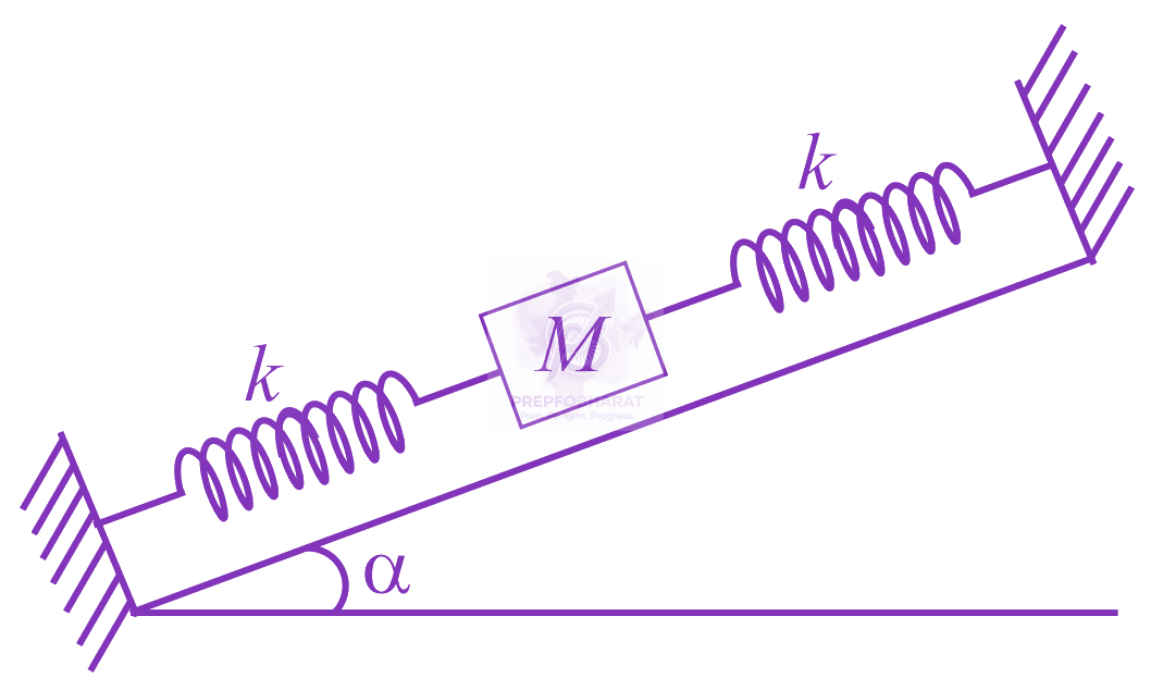 JEE Main 2021 Physics, Oscillations — question figure