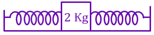 JEE Main 2023 Physics, Oscillations — question figure