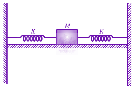 JEE Main 2023 Physics, Oscillations — question figure