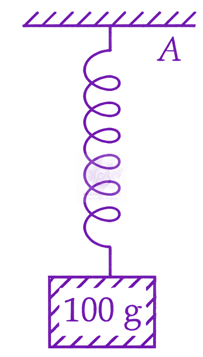 JEE Main 2026 Physics, Oscillations — question figure 1