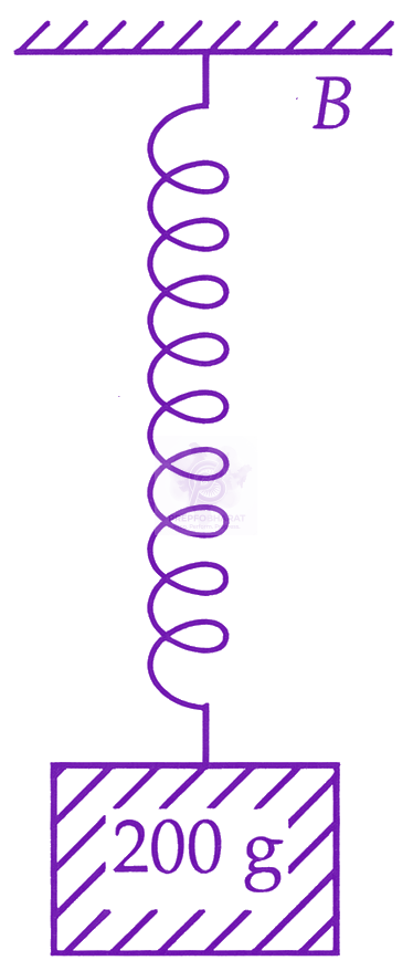 JEE Main 2026 Physics, Oscillations — question figure 2