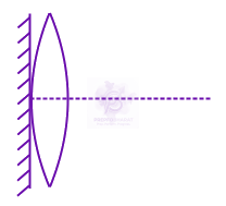 JEE Main 2015 Physics, Ray Optics — question figure