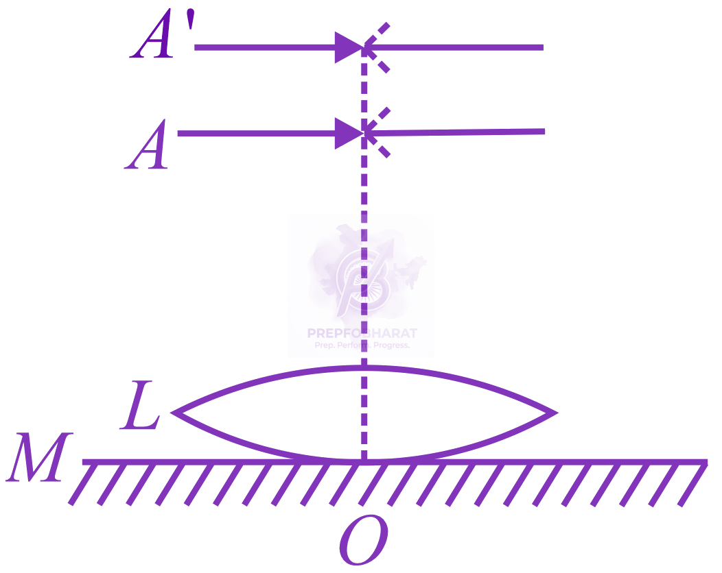 JEE Main 2019 Physics, Ray Optics — question figure