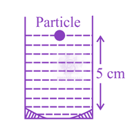 JEE Main 2019 Physics, Ray Optics — question figure