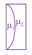 JEE Main 2021 Physics, Ray Optics — question figure
