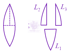 JEE Main 2022 Physics, Ray Optics — question figure
