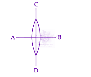 JEE Main 2025 Physics, Ray Optics — question figure