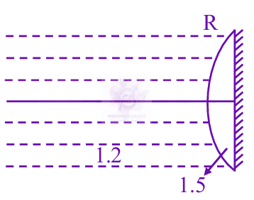 JEE Main 2025 Physics, Ray Optics — solution figure