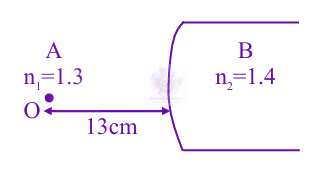 JEE Main 2025 Physics, Ray Optics — solution figure