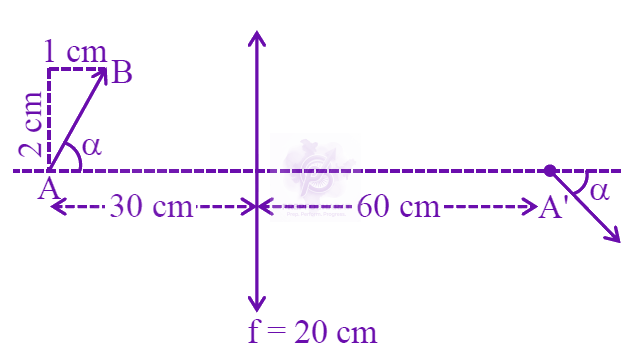 JEE Main 2025 Physics, Ray Optics — solution figure