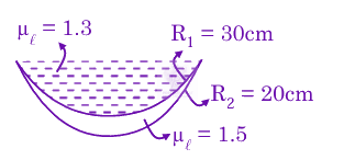JEE Main 2025 Physics, Ray Optics — solution figure